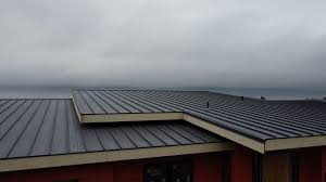 Roof Coating Services in Northglenn, CO